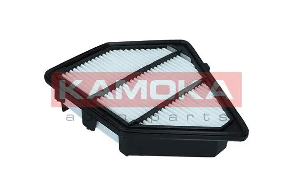 Air Filter (F245101)