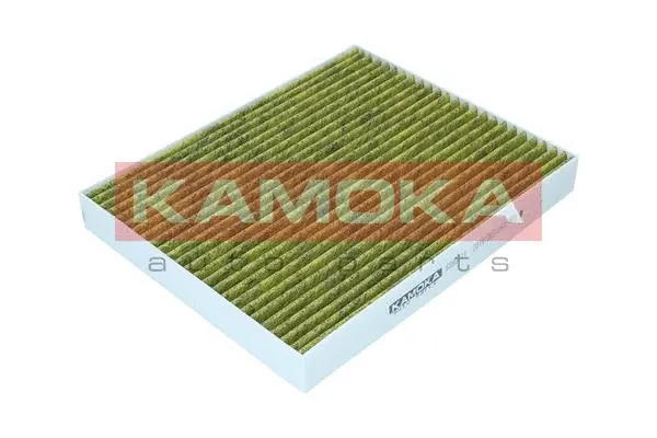 Filter, cabin air (6080111)