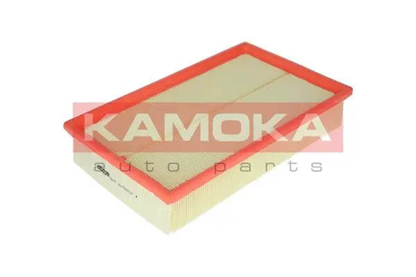 Air Filter (F203701)