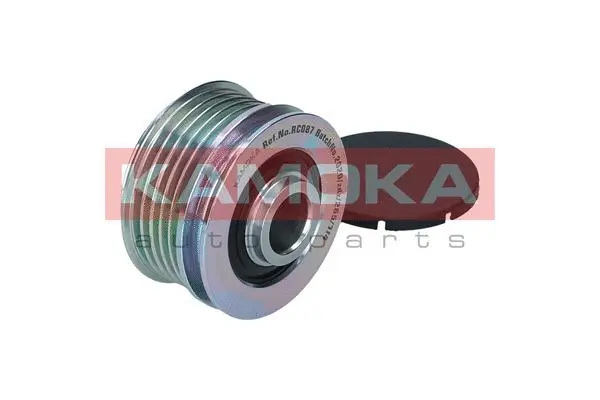 Alternator Freewheel Clutch