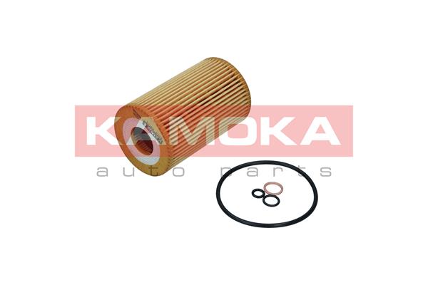 Oil Filter (F121701)