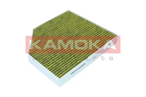Filter, cabin air (6080062)