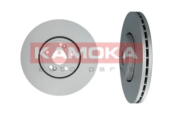 Brake Disc (1031020)