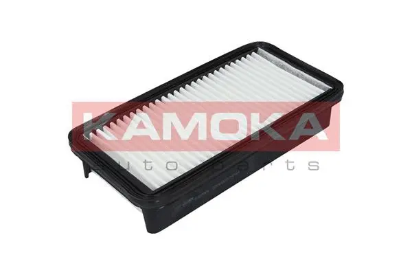 Air Filter (F227901)
