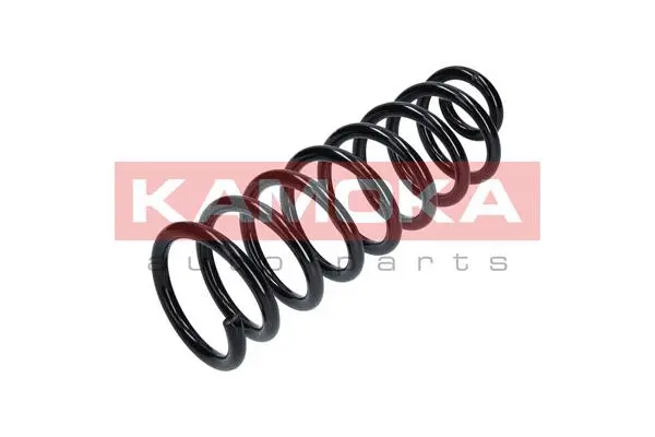 Suspension Spring (2120267)