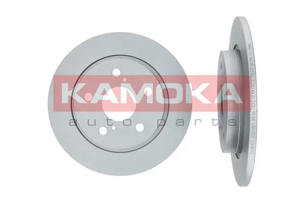 Brake Disc (1031031)