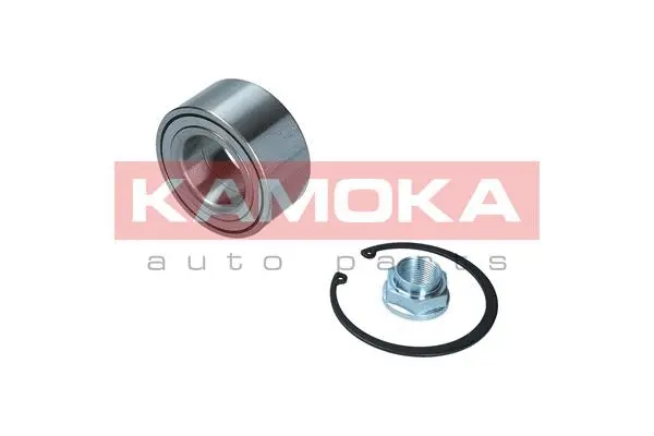 Wheel Bearing Kit (5600141)
