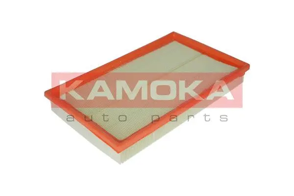 Air Filter (F202701)