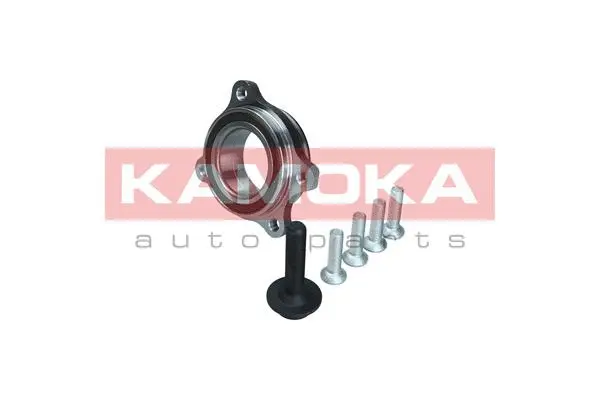 Wheel Bearing Kit (5500174)
