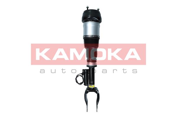 Air Suspension Strut (2070003)