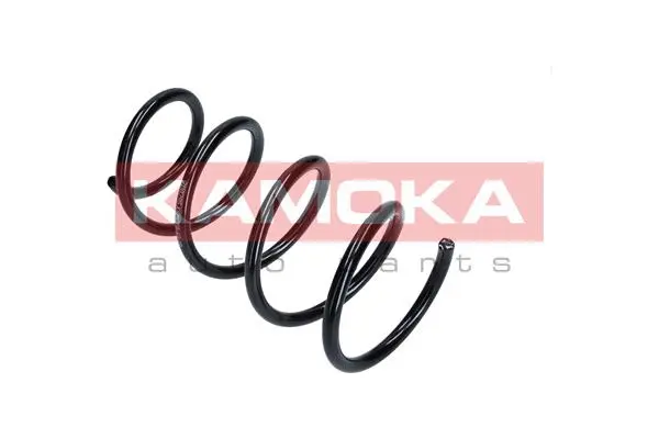 Suspension Spring (2110295)