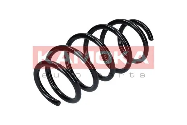 Suspension Spring (2110197)