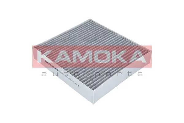 Filter, cabin air (F503401)