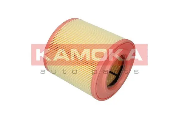 Air Filter (F242801)