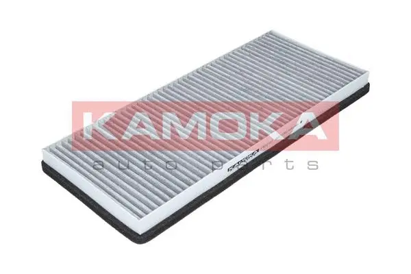 Filter, cabin air (F502101)