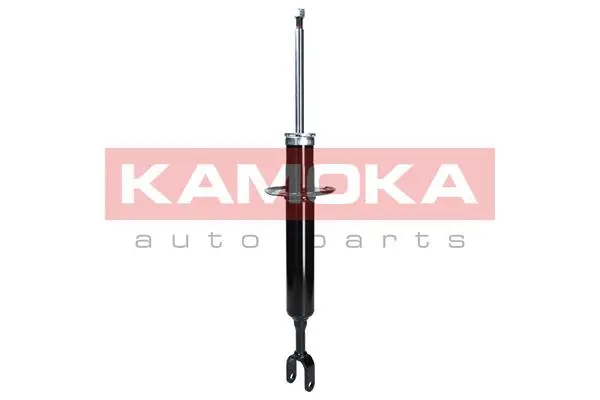 Shock Absorber (2000028)
