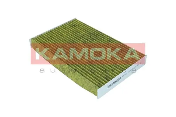 Filter, cabin air (6080108)