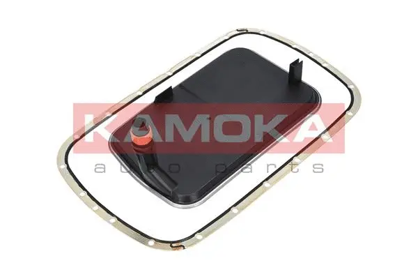 Hydraulic Filter Kit, automatic transmission (F602101)