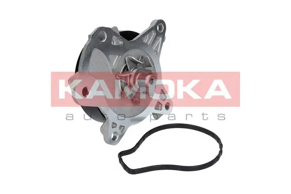 Water Pump, engine cooling (T0262)