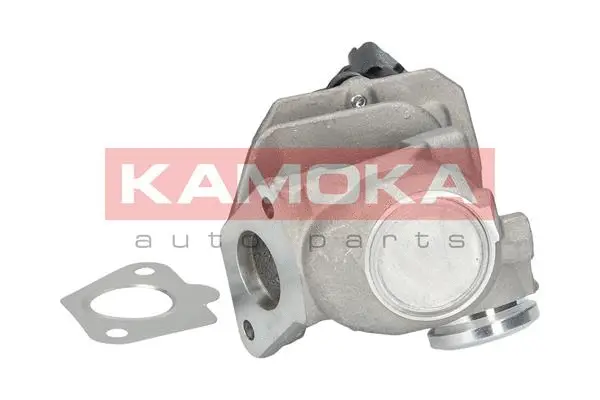 EGR Valve
