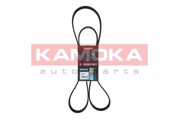 V-Ribbed Belt (7017025)