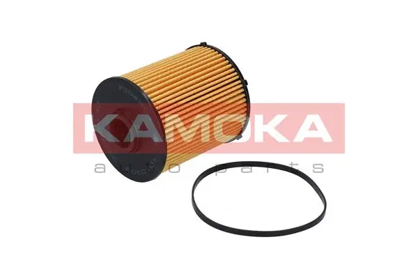 Fuel Filter (F304901)