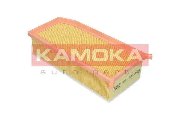 Air Filter (F240801)