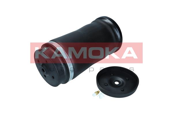 Air Spring, suspension (2079045)