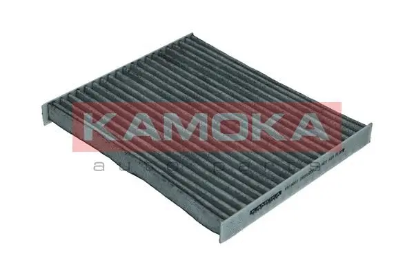 Filter, cabin air (F519001)