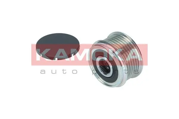 Alternator Freewheel Clutch