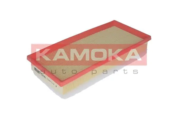 Air Filter (F237401)