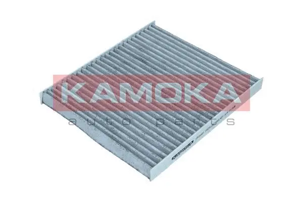 Filter, cabin air (F518401)