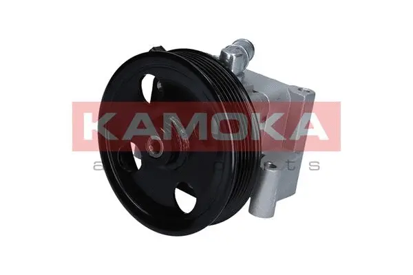 Hydraulic Pump, steering (PP098)