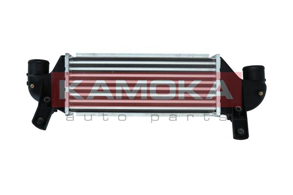 Charge Air Cooler (7750085)