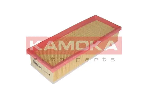 Air Filter (F229801)