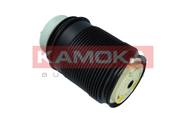 Air Spring, suspension