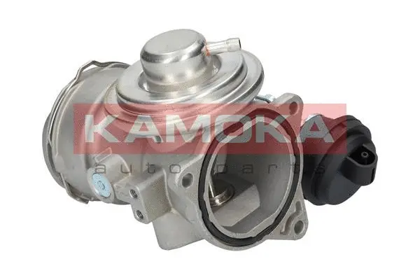EGR Valve