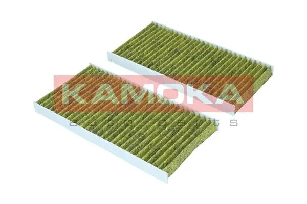 Filter, cabin air (6080139)