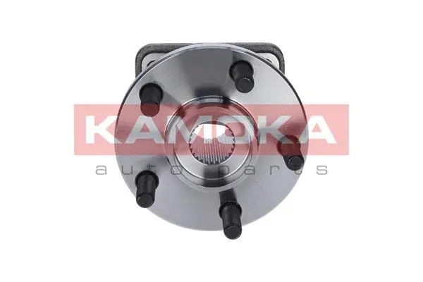 Wheel Bearing Kit (5500057)