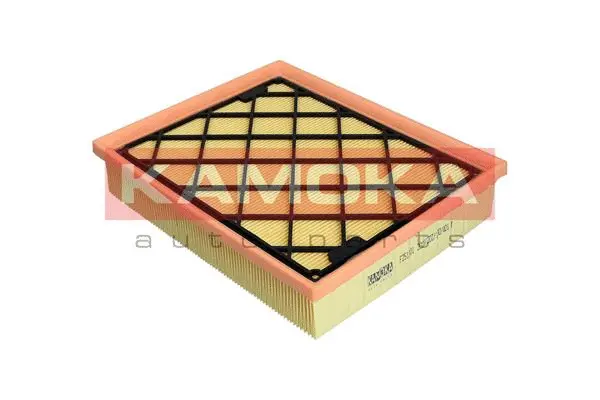 Air Filter (F251301)