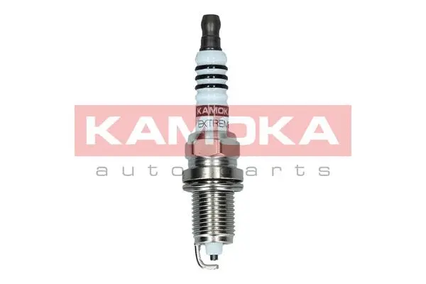 Spark Plug (7090539)