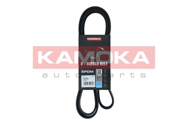 V-Ribbed Belt (7015081)