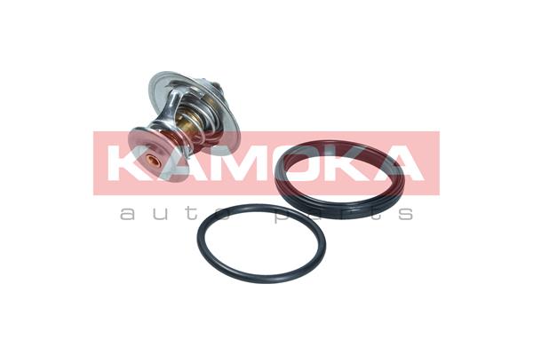 Thermostat, coolant (7710093)
