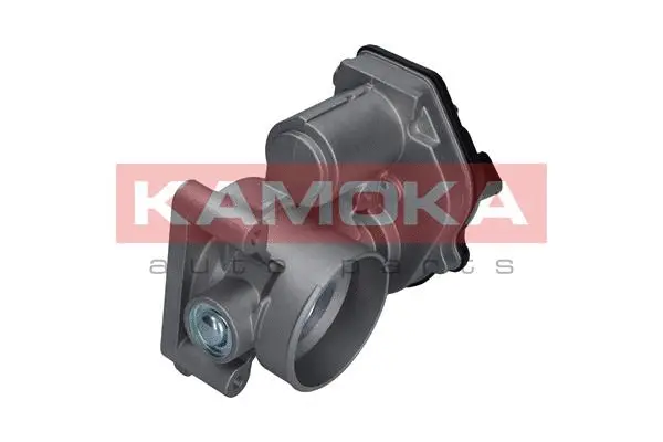 Throttle Body (112023)