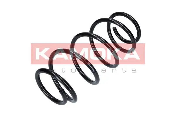 Suspension Spring (2110042)