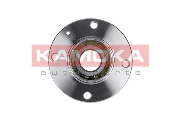 Wheel Bearing Kit (5500040)