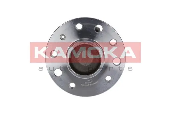Wheel Bearing Kit (5500078)