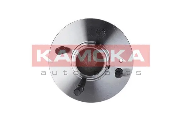 Wheel Bearing Kit (5500125)