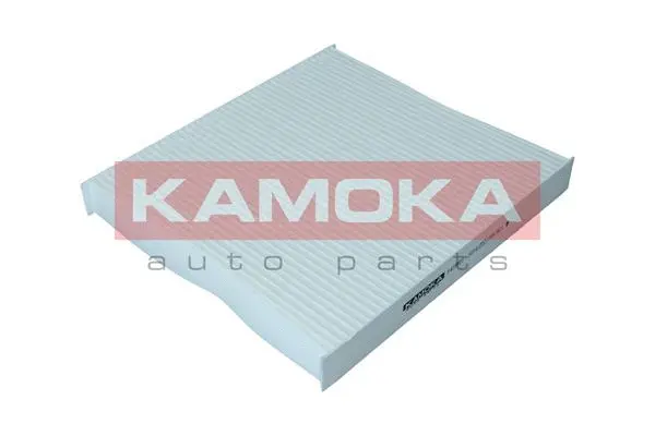 Filter, cabin air (F419501)
