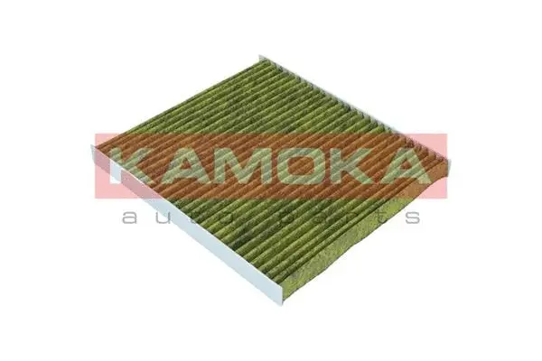 Filter, cabin air (6080080)